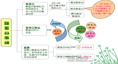 酪蛋白系列產品有哪些？